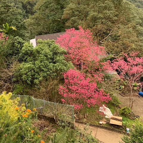 苗栗南庒甜美山莊"